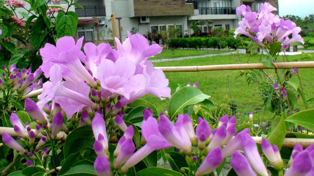 Maple Feeling Vacation Farm Guest House Guangfu Luaran gambar